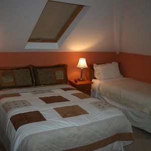 Family Private Bathroom Twin Room